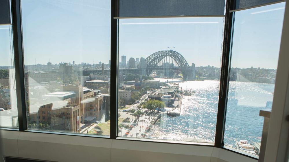 Windows with Sydney Harbour Bridge in the background